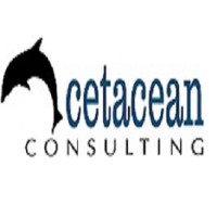 Cetacean Consulting Logo