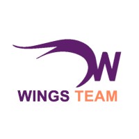 WINGS TEAM Logo