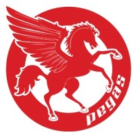 Atelierele Pegas Logo