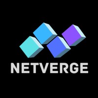 Netverge Services Logo