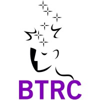 Brain Tumour Research Campaign Logo