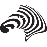 Critical Thinkers Academy Logo