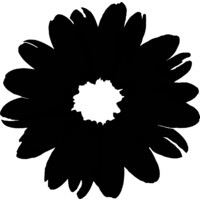 Kaden & Kai Logo