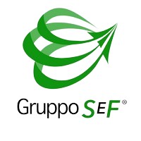 Gruppo SEF S.r.l. Logo