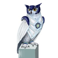 Cybersecurity Auditors Logo