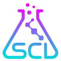 Silver Creek Insights Logo