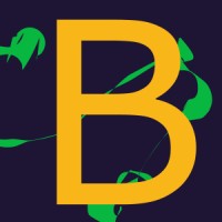 Boudreaux Technology LLC Logo