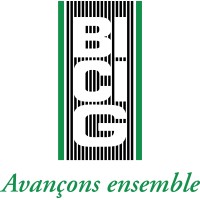BICIG Gabon Logo