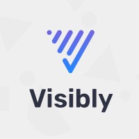 Visibly Logo