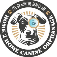 Home 2 Home Canine Orphanage Logo
