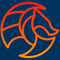 Wyvern Systems Logo