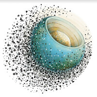 Earthshot Foundation Logo