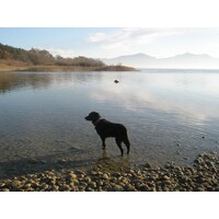 Tourismus-Marketing + PR, Events & more Logo