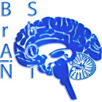 Brain Shot Academy Logo