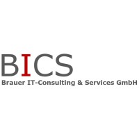 Brauer IT-Consulting & Services GmbH Logo