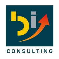 Burning Issues Consulting Logo