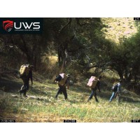 UWS Logo