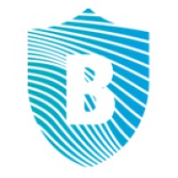 Breuer Cyber - und Datensicherheit Logo