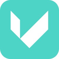 visav.is Logo