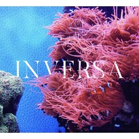 INVERSA Leathers Logo