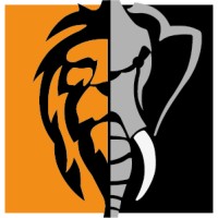 Coexlion Logo