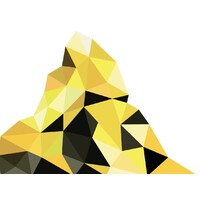 DualNetworks SA Logo