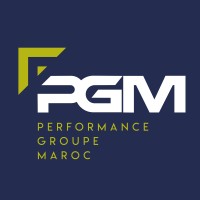 PGM Holding Logo