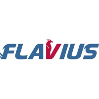 Flavius Corporate Advisors Logo