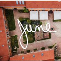 Project JUNE Logo