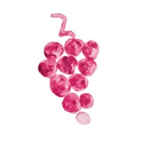 Weinhandlung Ritschard AG Logo