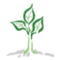 PHI Environmental Consulting Logo