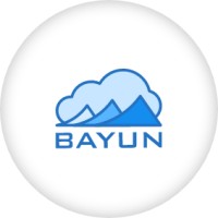 Bayun Systems, Inc. Logo