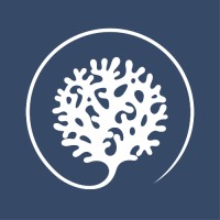 blucap.health Logo