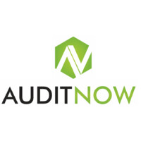 AuditNow Logo