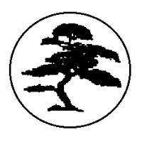 Budokan Academy Logo