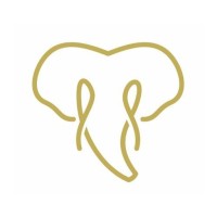 Digital Elephants Logo