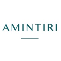 Amintiri Logo