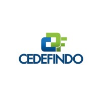 PT CEDEFINDO Logo