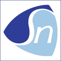 Sigma-Netics Logo