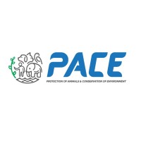 PACE Trust Logo