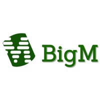 BigM, Inc. Logo
