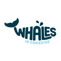 Whales In Paradise Logo