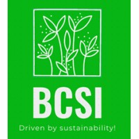 BCSI Logo