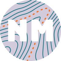 North Mountain Consulting Group Logo