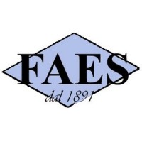 FAES IMPIANTI SRL Logo