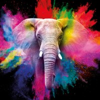 Ballast Design, Signs & Branding Logo