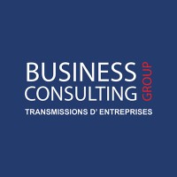 BUSINESS CONSULTING GROUP Logo