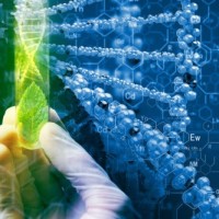 Voodoo Scientific, Inc. Logo