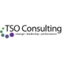 TSO Consulting Logo