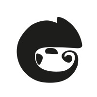 Chameleon.tools Logo